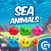 Sea Animals